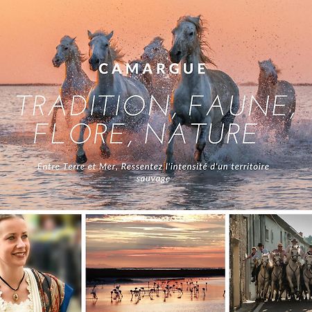 La Perle Marine * Plage A 15 Min * Parking Prive * Literie Confortable La Grande-Motte Zewnętrze zdjęcie